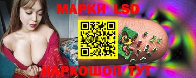 прущие грибы Коммунар