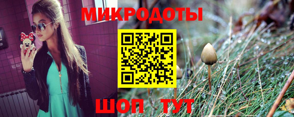 Псилоцибиновые грибы Psilocybe  Псилоцибиновые грибы ЛСД  Вход с VPN  Кимры 